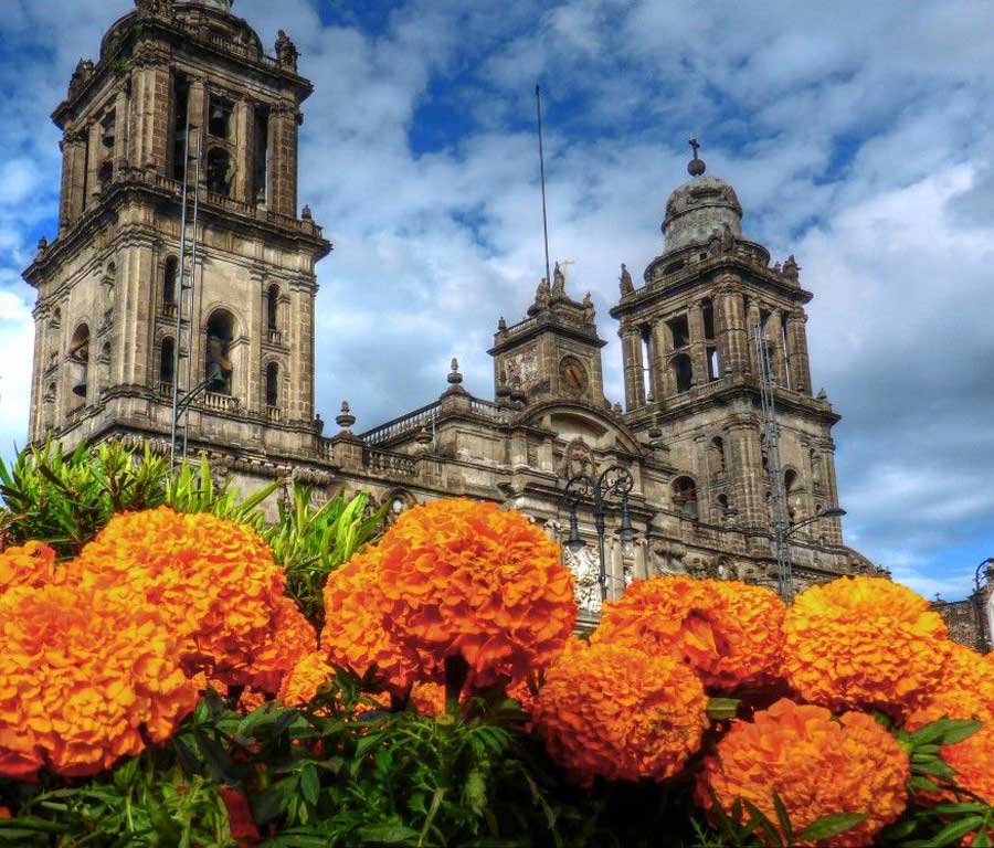 Viajes Religiosos en Mexico